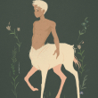 illustration-centaur
